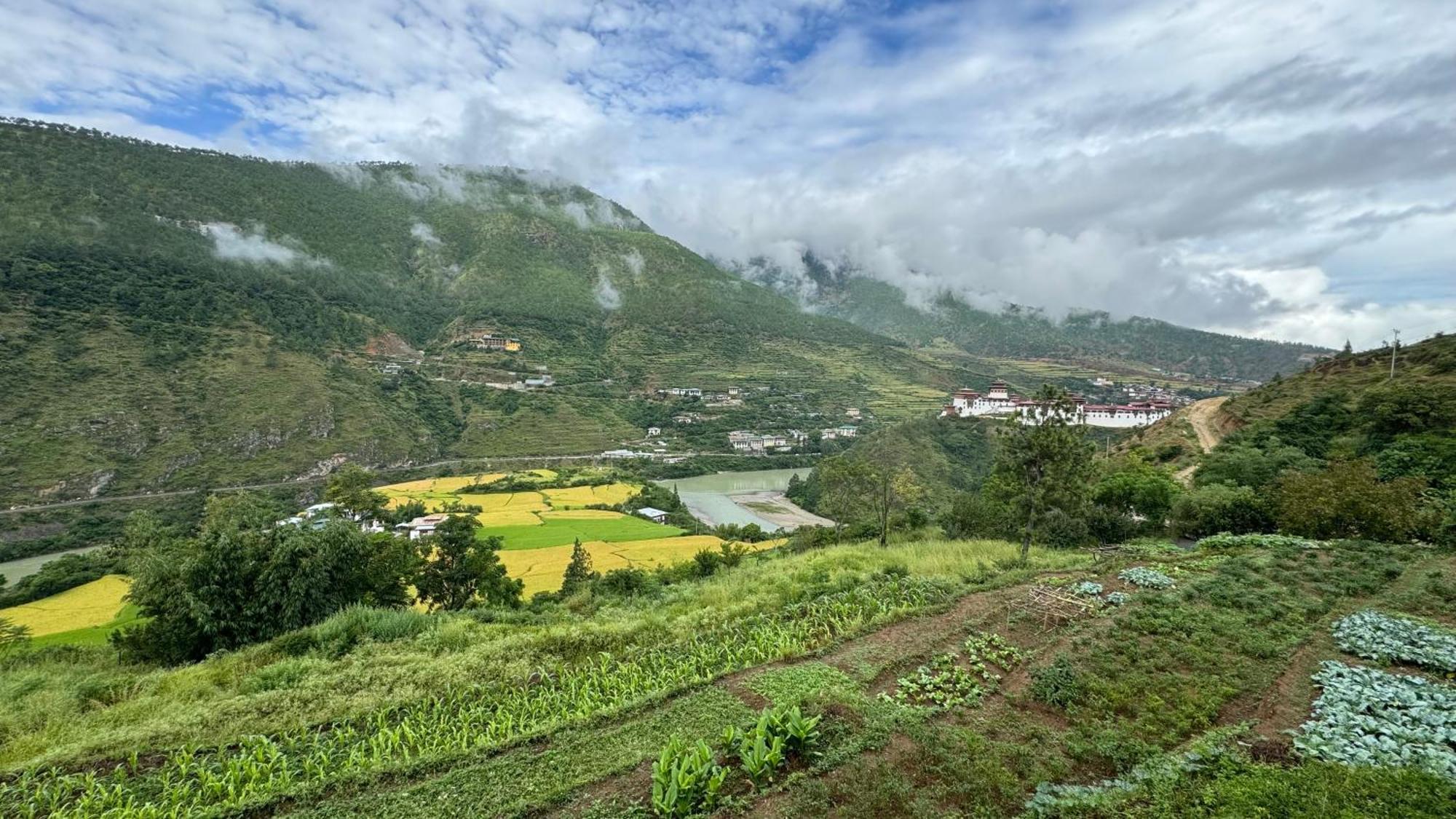 Wangdue Ecolodge Wangdue Phodrang エクステリア 写真