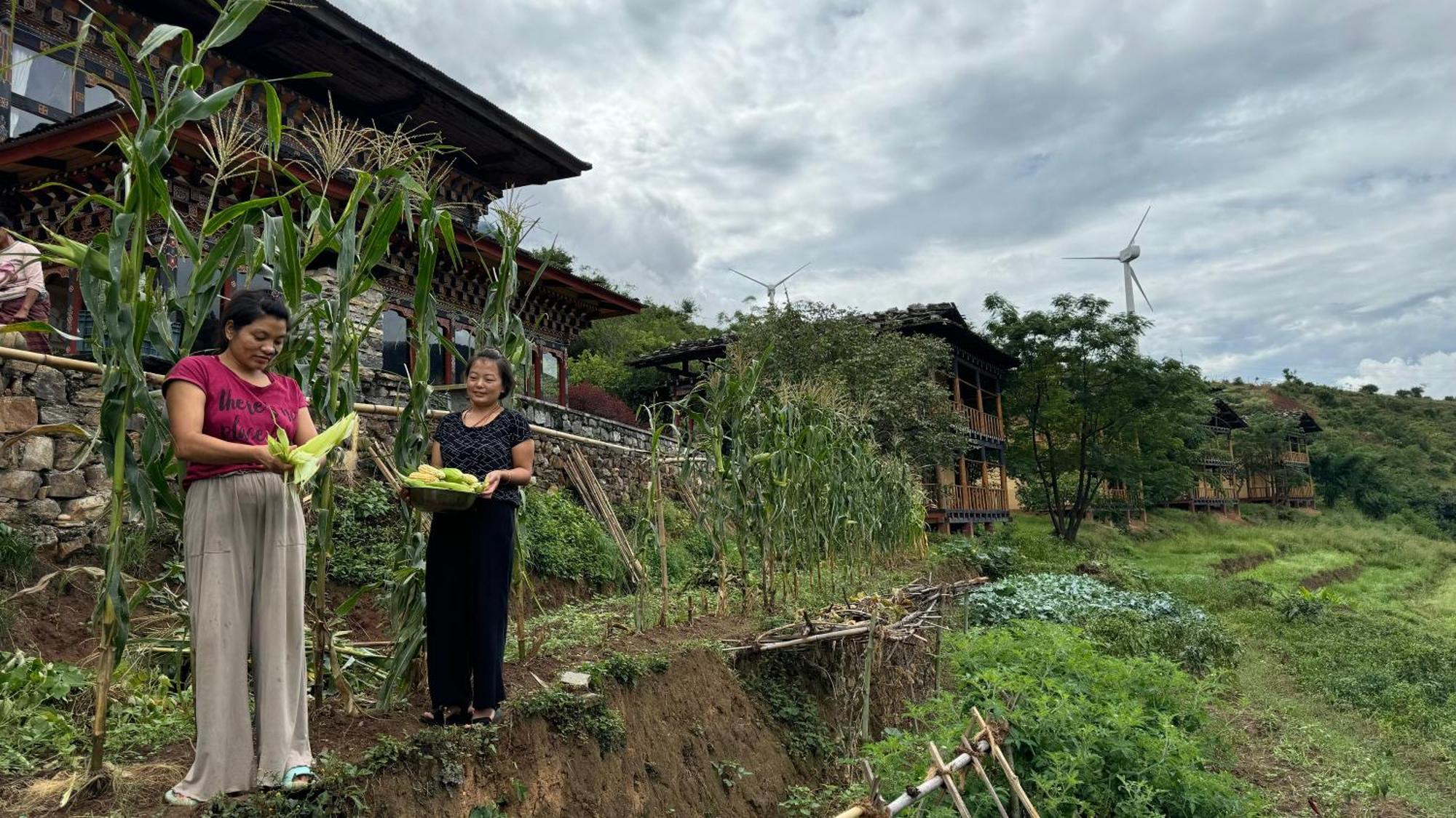 Wangdue Ecolodge Wangdue Phodrang エクステリア 写真