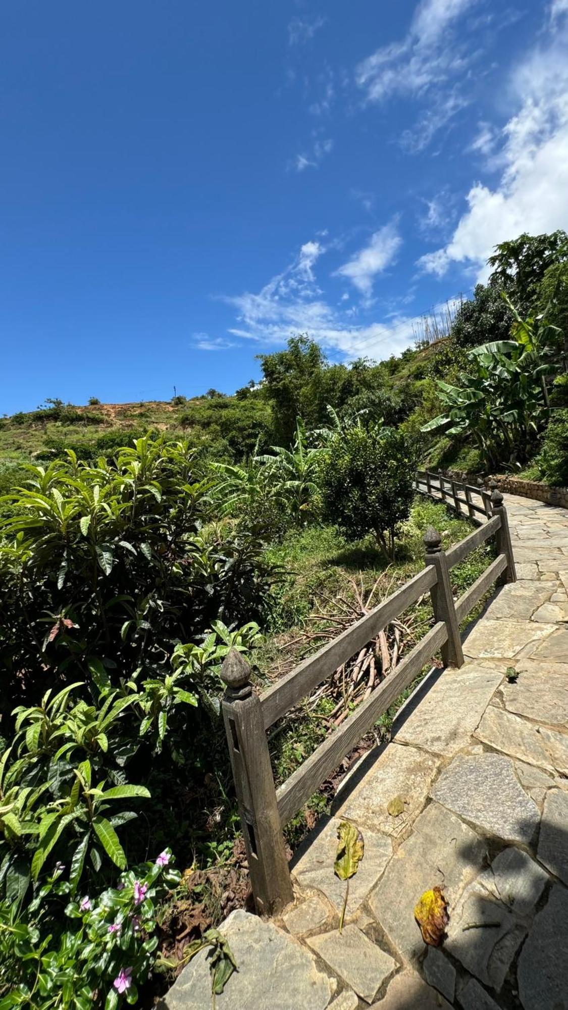 Wangdue Ecolodge Wangdue Phodrang エクステリア 写真