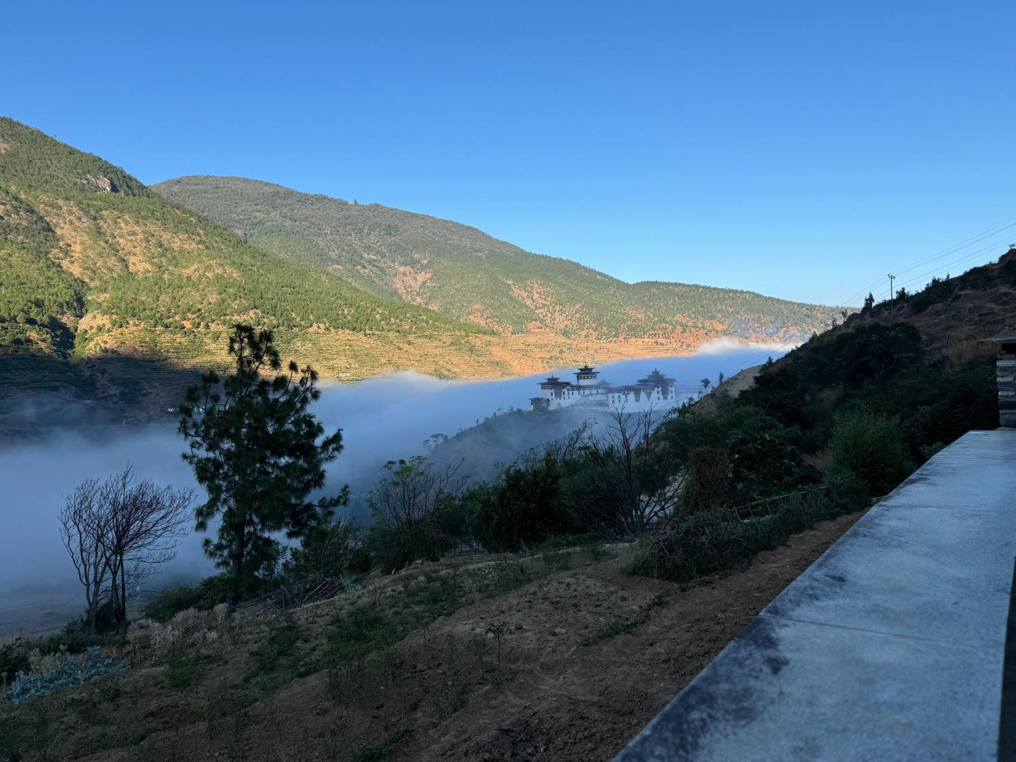 Wangdue Ecolodge Wangdue Phodrang エクステリア 写真